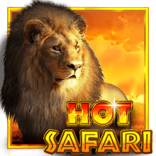 Hot Safari